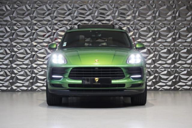 Macan image 7