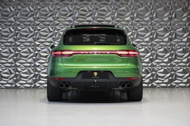 Macan image 5