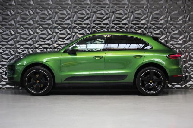 Macan image 8