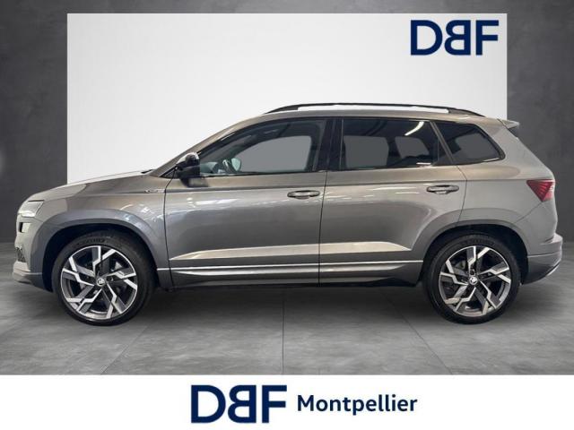 Skoda Karoq image 1
