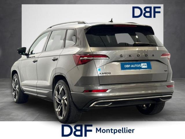 Skoda Karoq image 2