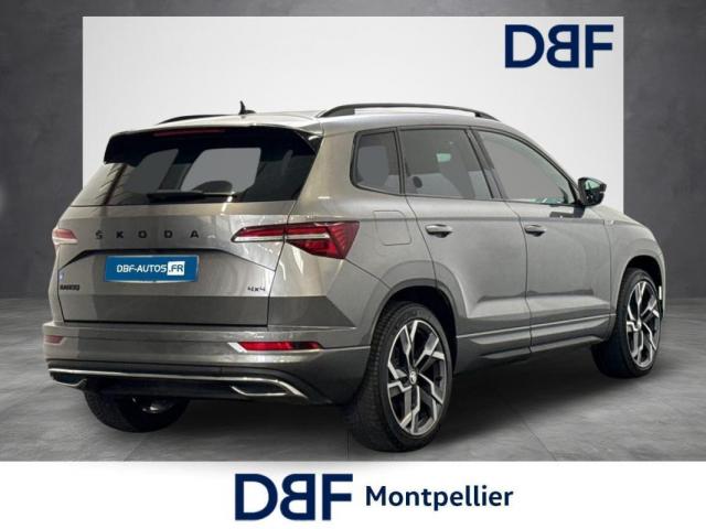 Skoda Karoq image 9