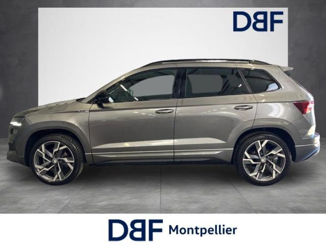 Skoda Karoq image 3