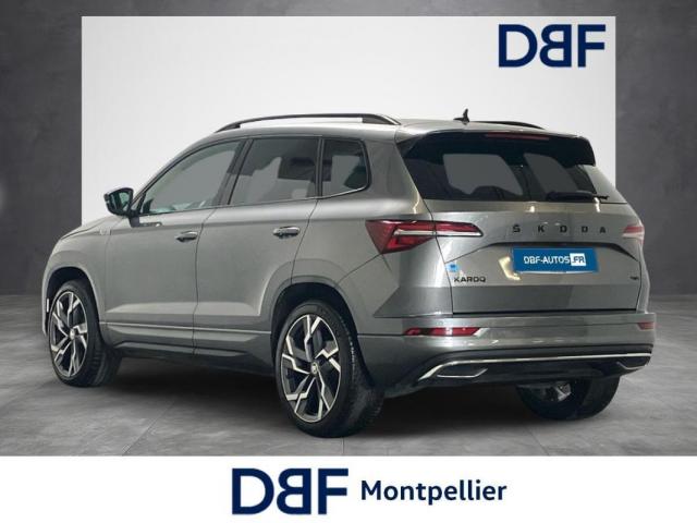 Skoda Karoq image 2