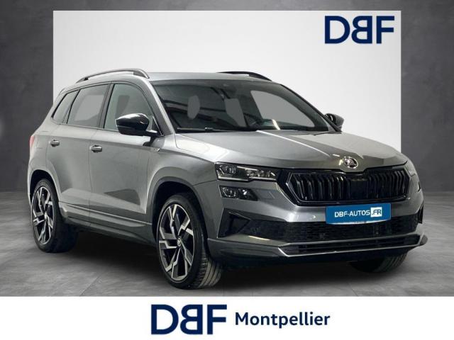 Skoda Karoq image 6