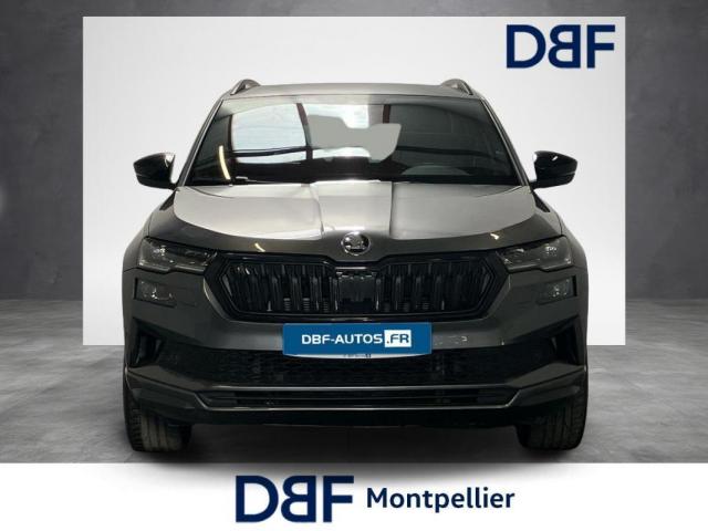 Skoda Karoq image 5