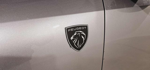 Peugeot 3008 image 5