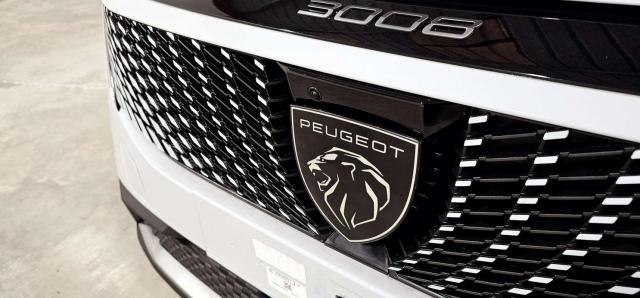 Peugeot 3008 image 6