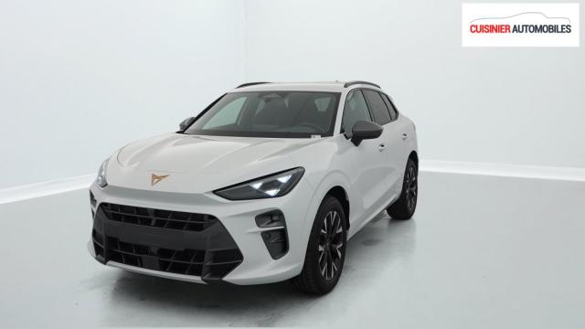Cupra Terramar image 5