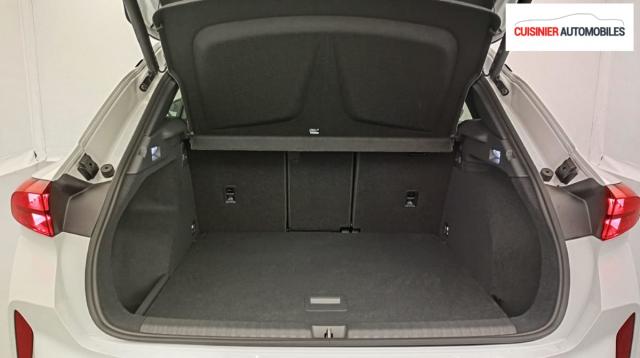 Cupra Terramar image 3