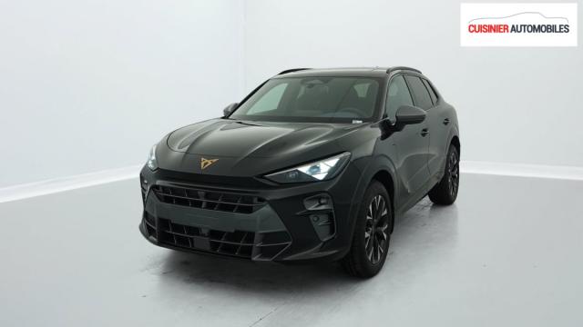 Cupra Terramar image 3