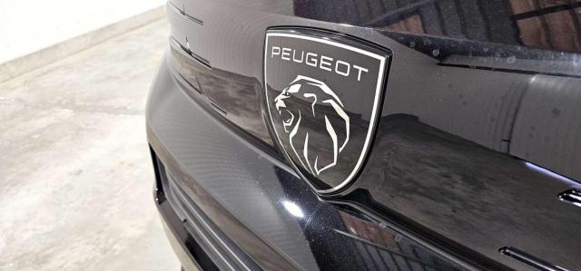 Peugeot Traveller image 5