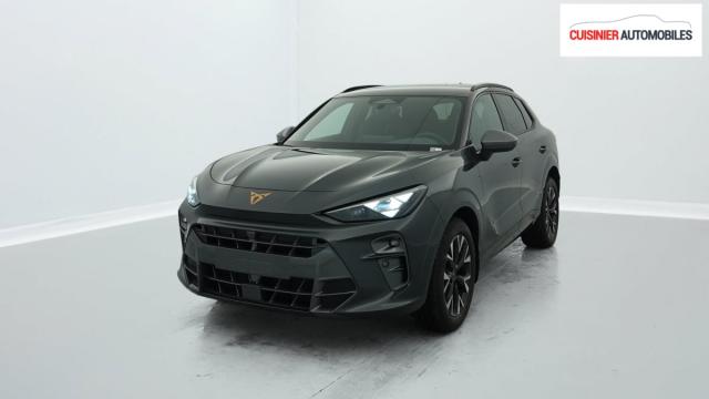 Cupra Terramar image 8