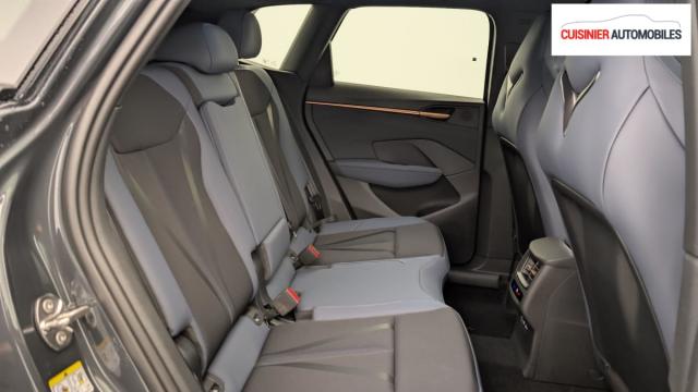 Cupra Terramar image 4
