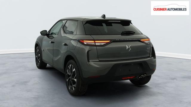 Ds Ds 3 image 3