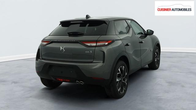 Ds Ds 3 image 4