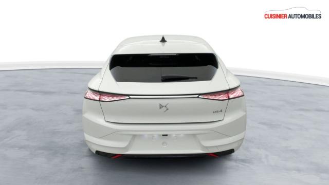 Ds Ds 4 image 6