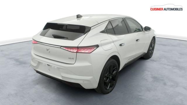 Ds Ds 4 image 9