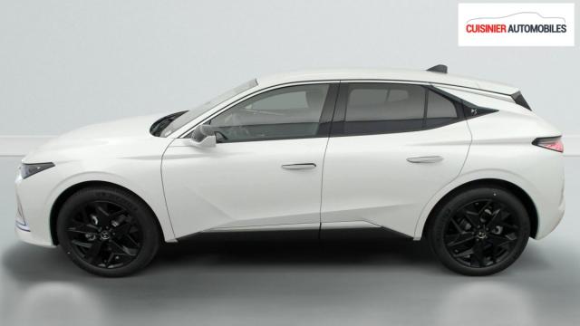 Ds Ds 4 image 6