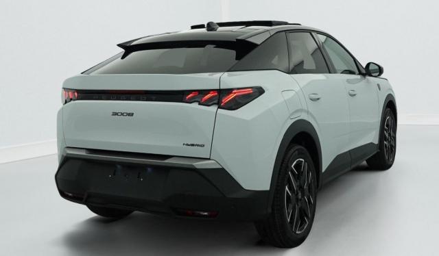 Peugeot 3008 image 1
