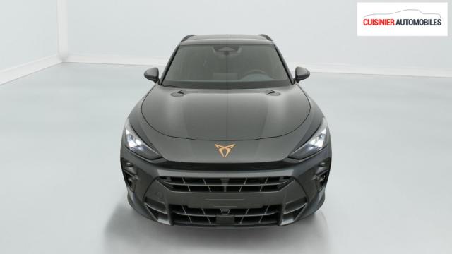 Cupra Terramar image 3