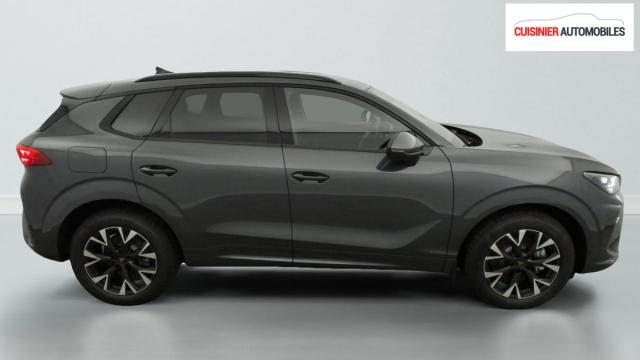 Cupra Terramar image 5