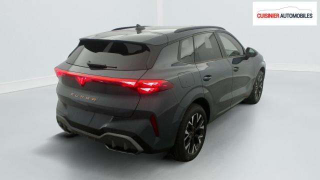 Cupra Terramar image 8