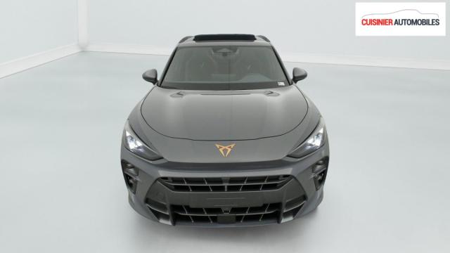 Cupra Terramar image 8