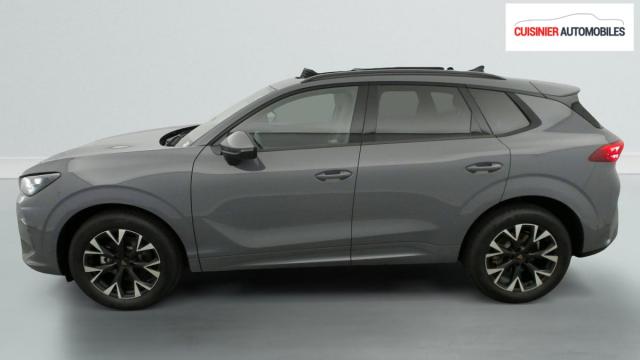Cupra Terramar image 3