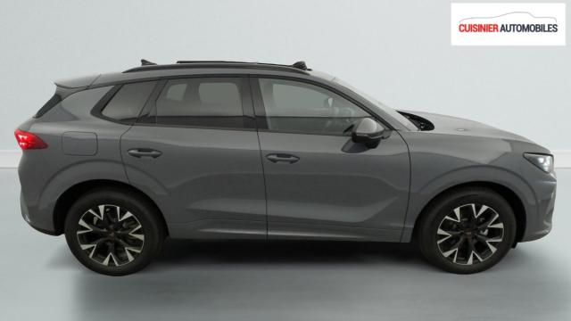 Cupra Terramar image 5