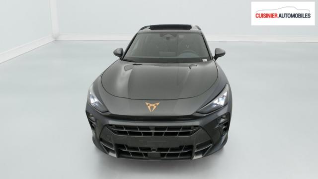 Cupra Terramar image 3