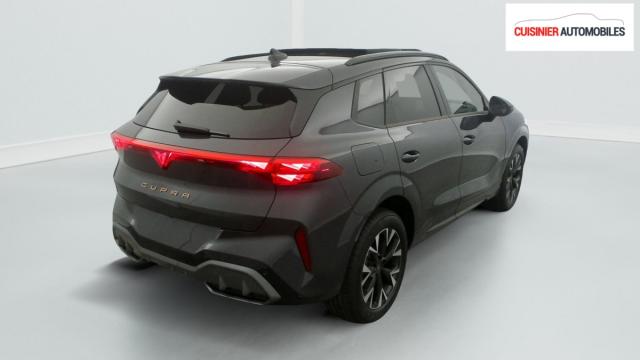 Cupra Terramar image 8