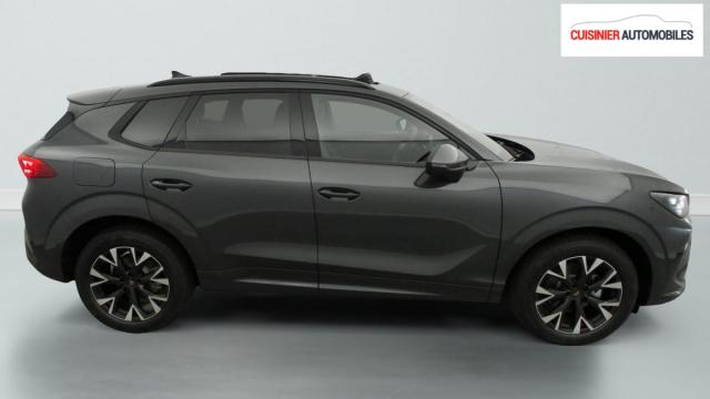 Cupra Terramar image 4