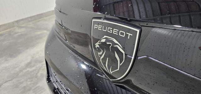 Peugeot Traveller image 1