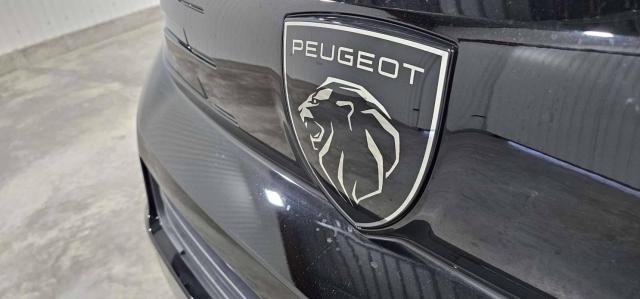 Peugeot Traveller image 2