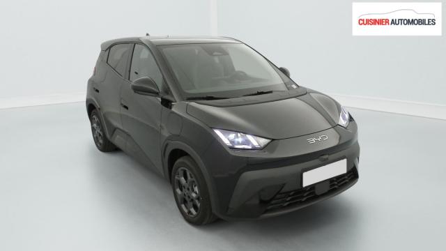 Byd Dolphin Surf 43.2 Kwh 156 Ch Comfort