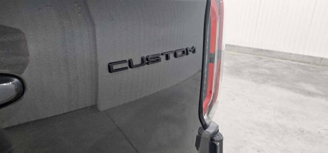 Ford Transit Custom image 1