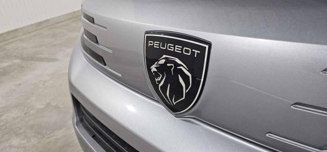 Peugeot Traveller image 5