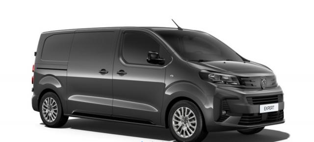 Peugeot Expert image 1