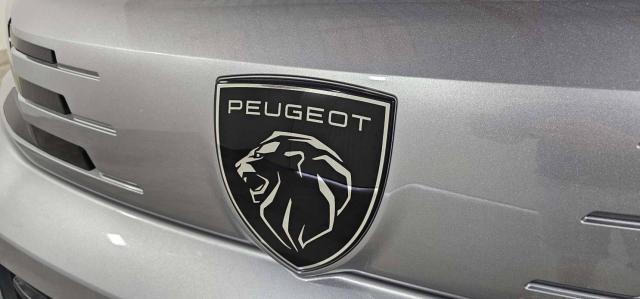 Peugeot Traveller image 2