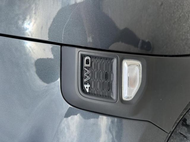 Dacia Duster image 1