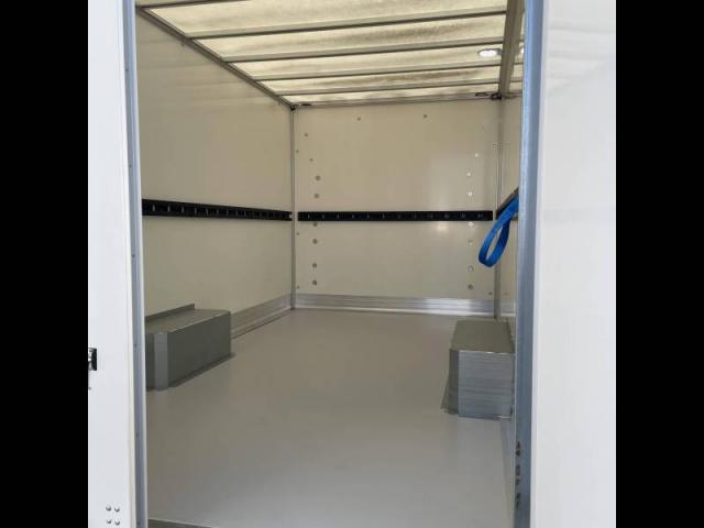 Ford Transit image 4