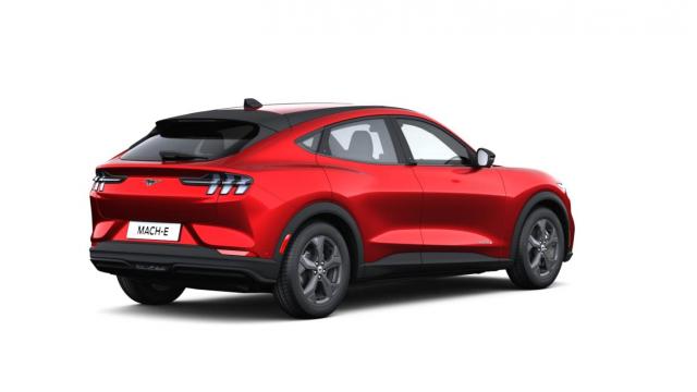 Ford Mustang image 1