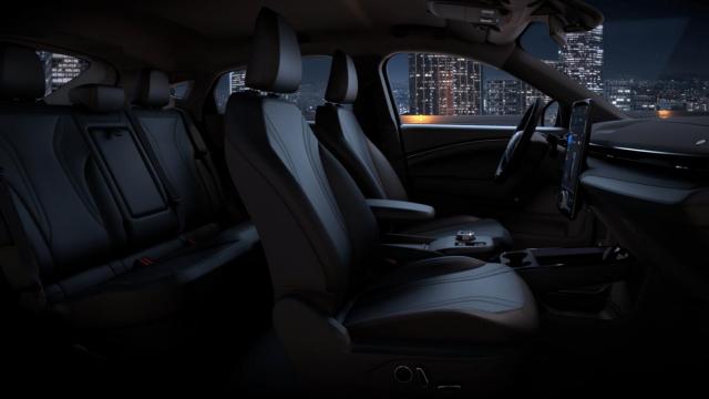 Ford Mustang image 4
