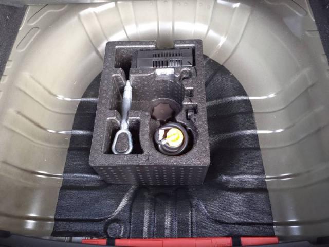 Mg Zs image 6