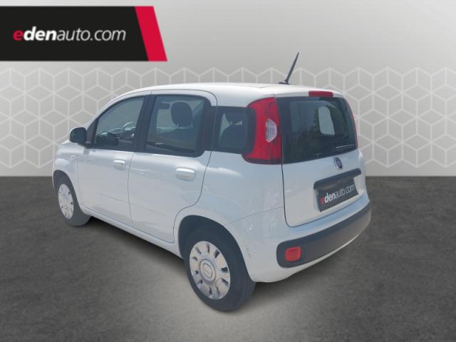 Fiat Panda image 1