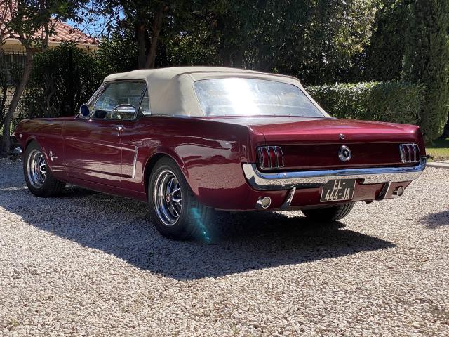 Ford Mustang image 4