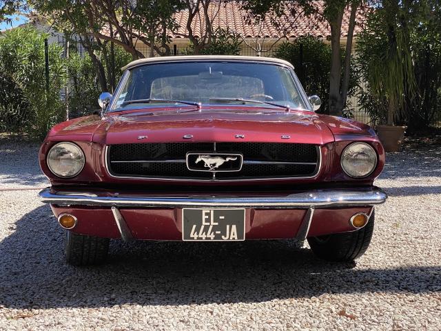 Ford Mustang image 3