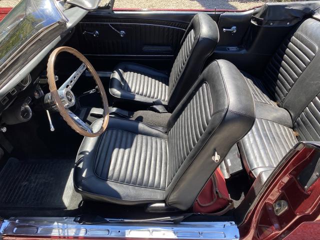 Ford Mustang image 1