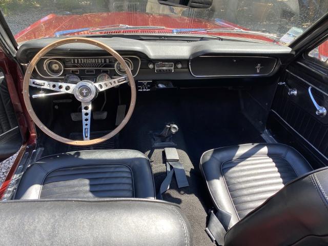 Ford Mustang image 5